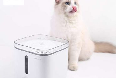 máy cấp nước tự động cho mèo petkit